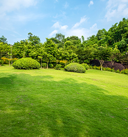 land 3